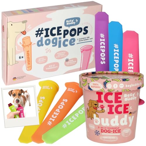 BeG Buddy Starter-Kit Hundeeis, [ohne Zuckerzusatz], EIS für Hunde zum Selbermachen im Set, Abkühlung Hund im Sommer, Hundesnack mit Blaubeere, Dog Ice, Hundeleckerli, inklusive Eisform Hund von BeG Buddy