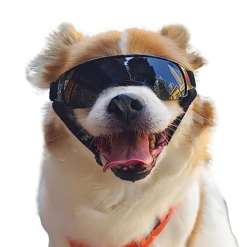 BeNsil Hundebrille,Hundesonnenbrille Hundeaugen-Sonnenlichtschutz | Hundesonnenbrille, Winddicht, beschlagfrei, staubdicht, schneefest, Welpenbrille für Outdoor-Reiten, Fahren Swan- von BeNsil