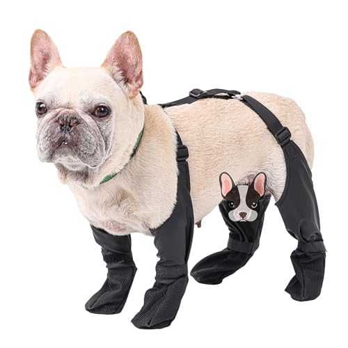 Hundestiefel-Leggings – verstellbare, rutschfeste Hunde-Hosenträgerstiefel, Haustierpfotenschutz für kleine mittelgroße Hunde, Hundeleggings mit Hilfsgurt für den W im Freien von BeNsil