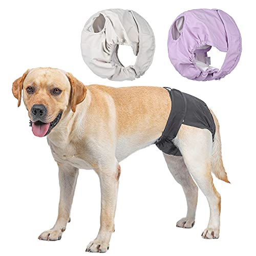BePetMia Waschbare Windeln für Hunde (Beige+Schwarz+Lila), Hygiene-Unterhose für Hunde in Hitze, 5 Größen XS bis XL, geeignet für alle Hunde (XL: 60-82cm, 3-Packs) von BePetMia