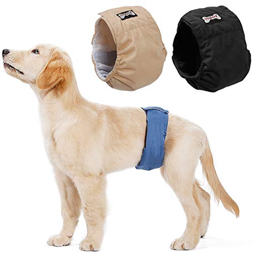 BePetMia Waschbare Windeln für Männliche Hunde, Hygienische Unterhosen Wiederverwendbare für Welpen, Hunde bei Hitze und Inkontinenz, 6 Einstellbare Größen für Hunde (3-Packs, XL: 52-72cm) von BePetMia