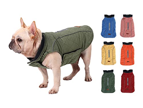 Hundemantel Winter Warme Jacke Weste, 7 Größen für Kleine Mittlere Große und Riesige Hunde, Winddicht Schneeanzug Hundekleidung Outfit Weste Haustiere Bekleidung (L, GRÜN) von BePetMia