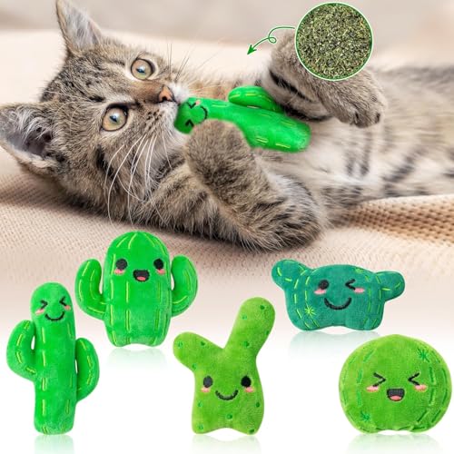 BeYumi Kaktus Stachelpflanzen Katzenminz Spielzeug - 5Pcs Interaktive Katzenspielzeug für Hauskatzen Weiches Plush Grünes Katzen-Zubehör Kätzchen-Zahnreif-Kauspielzeug-Set süße Haustier-Geschenke von BeYumi