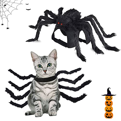 Halloween Haustier Spinne Kostüm, pelzige Riesenspinne Haustiere Outfit Einstellbare Katzen Welpen Spinne Kostüm Cosplay Simulation Spinne Dekoration Dress up Zubehör für kleine Hunde und Kätzchen von Beamely