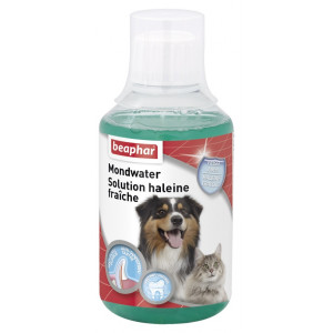 Beaphar Mundwasser für Hund und Katze 2 x 250 ml von Beaphar