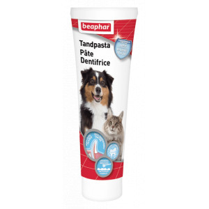 Beaphar Zahnpasta für Hund und Katze 1 Tube von Beaphar