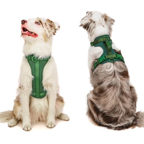 Hundegeschirr mit Griff, Größe M, Grün von BearBone