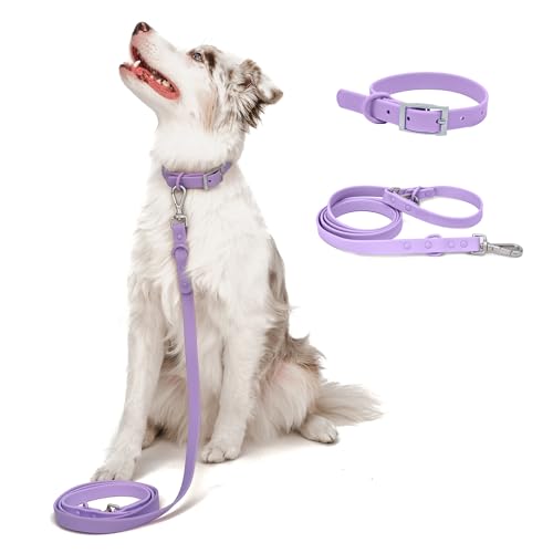 Wasserdichtes Hundehalsband und Leine, strapazierfähiges Hundezubehör, BearBone Hundeleine und Halsband-Set, langlebig, wetterfest und vielseitig, lilafarbenes Hundehalsband und Leine für kleine von BearBone