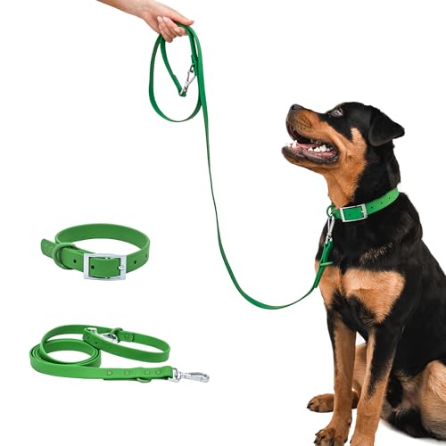 Wasserdichtes Hundehalsband und Leine, strapazierfähiges Hundezubehör, BearBone Hundeleine und Halsband-Set, langlebig, wetterfest und vielseitig, grünes Hundehalsband und Hundeleine für große Hunde, von BearBone