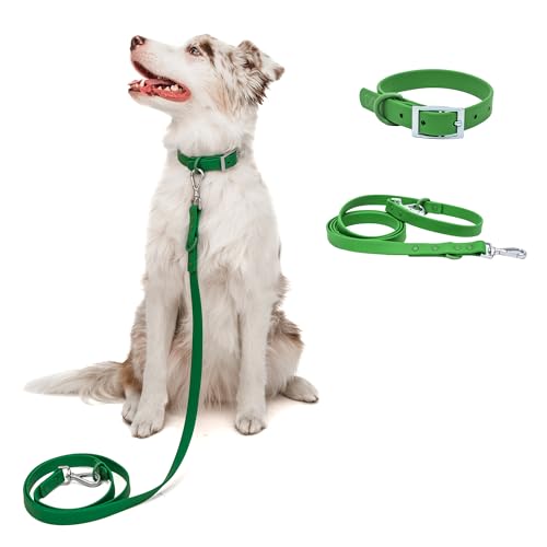 Wasserdichtes Hundehalsband und Leine, strapazierfähiges Hundezubehör, BearBone Hundeleine und Halsband-Set, langlebig, wetterfest und vielseitig, grünes Hundehalsband und Leine für kleine Hunde von BearBone