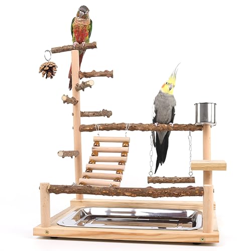 BeauFairy Papageien-Spielplatz, Vogelspielplatz für Papageien, Parrot Playstand Papagei Spielplatz mit Spielzeug, Tablett Edelstahl, für Nymphensittiche Vögel Kanarien Wellensittich, 37*26*45CM, F544 von BeauFairy