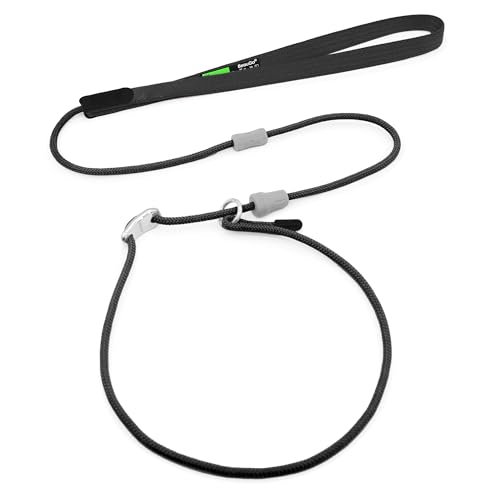 BeauGo Retrieverleine für Hunde, 2-in-1 Hundeleine und Halsband, 1,2 m dünne Retrieverleine, für kleine, mittelgroße oder große Hunde, Trainingsleine (schwarz, 1,2 m lang) von BeauGo