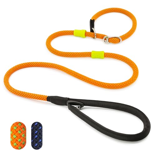 BeauGo Retrieverleinen für Hunde, 2-in-1 Hundeleine und Halsband, robust, langlebig, Trainingsleine für kleine, mittelgroße und große Hunde, 1,5 m lang, Orange von BeauGo