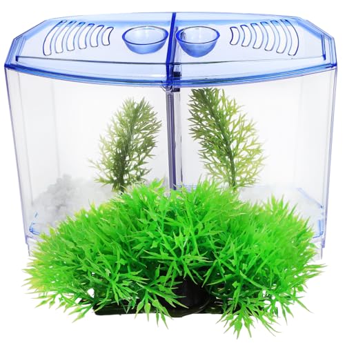 Beaupretty 1 Satz Fischbecken Aus Kunststoff Gründekor Betta-fischpflanzen Schreibtischdekoration Lebende Aquarienpflanzen Süßwasser Reise-Aquarium Tragbares Aquarium Mini-Desktop-Aquarium von Beaupretty