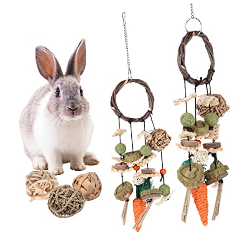 Beaupretty 1 Satz Molare Spieße Tierkäfig Leckerlispielzeug für Kaninchen Chinchilla-Zubehör Hasenspielzeug Spielzeuge Kauspielzeug zum Aufhängen Käfig Dekorationen Zweig Pet-Ball hölzern von Beaupretty