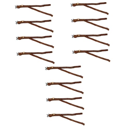 Beaupretty 12 STK Vogelständer Stick Stand Bar Vogelstange Für Käfig Aus Papageienholz Kauspielzeug Für Papageien Papageienständer Papageienbaumbarsch Sittich Hölzern Stativ Haustier von Beaupretty