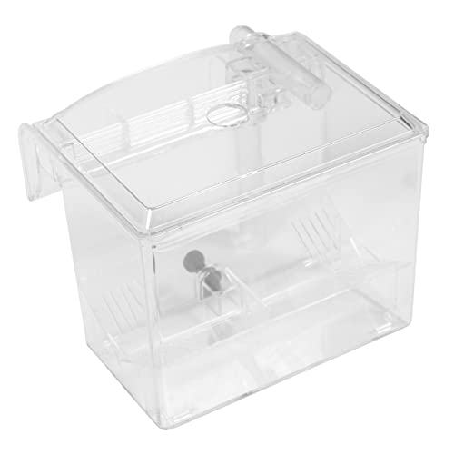 Beaupretty 1stk Isolierte Zuchtbox Aquarium Zubehör Für Aquarien Laichinkubator Für Jungfische Eingewöhnungsbrüterei Inkubator Fische Schlüpfen Terrarium Weiß Kriechen Plastik Baby von Beaupretty