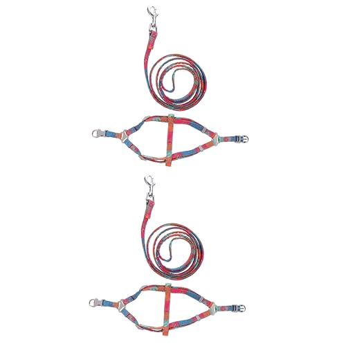 Beaupretty 2 Sätze Haustier Geschirr Gehendes Hundegeschirr Trainingsleine Für Haustiere Seil Hund Trainingsleine Für Hunde Hundeleine Geflochtenes Hundeseil Draussen Reisen Segeltuch Suite von Beaupretty