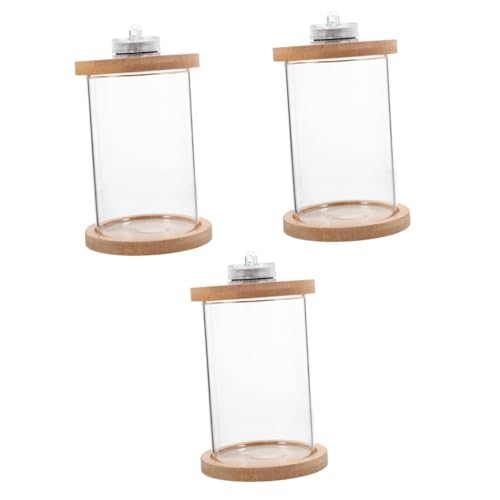 Beaupretty 3 Stück Behälter Mit Deckel Glas Mini-Betta-Tank Kleine Glasbehälter Schnecken-Terrarium Desktop-Aquarium Kleines Holzglas-Aquarium Kleines Aquarium von Beaupretty