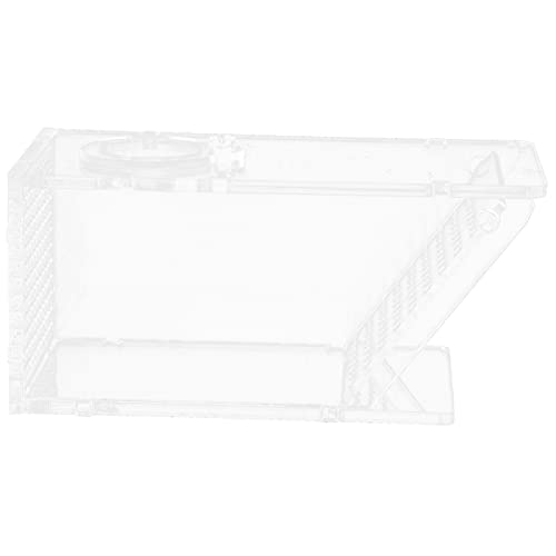 Beaupretty 4 Stück Krabbenbox Für Aquarien Fischköder Klarer Fisch Fangset Acryl-krabben-Box Aquarium-krabben-Box Acryl-frische-seekrabben-Box -Box Einwegventil- -Box Ausrüstung Haupt von Beaupretty