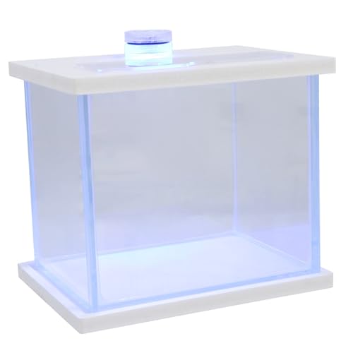 Beaupretty Aquarium-landschaftsgestaltung Aquarium-licht Für Glas-Aquarium Desktop-ökosystem von Beaupretty