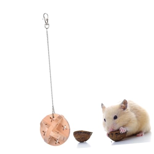 Beaupretty Hamster Spielzeug hamsterspielzeug Nagetier Spielzeug kleintierspielzeug Bälle Spielen Kugelspielzeug für Hamster Backenzahn Spielzeuge Hamsterbedarf Glocke Kugel Hölzern von Beaupretty