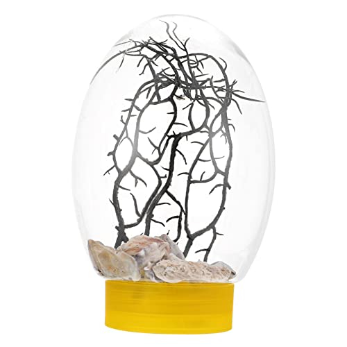 Beaupretty Desktop-Aquarium Kleines Aquariumbecken Geführtes Mini-Aquarium Fischglasvase Aus Kunststoff Behälter Für Goldfische Tischfischbecken Kleines Fischglas Runden Schmücken Plastik von Beaupretty