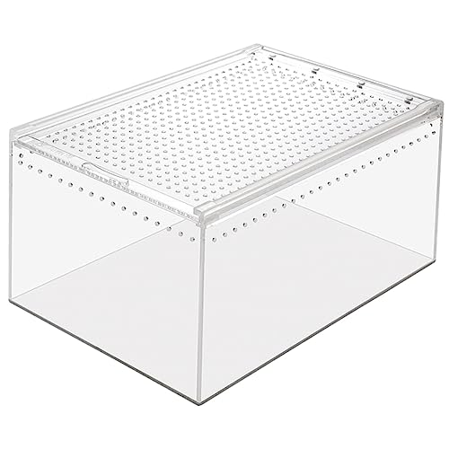 Beaupretty Reptilien Terrarien Futterbox Für Reptilien Gehäuse Gehörnter Frosch Acryl Tier Reptilienversteck von Beaupretty