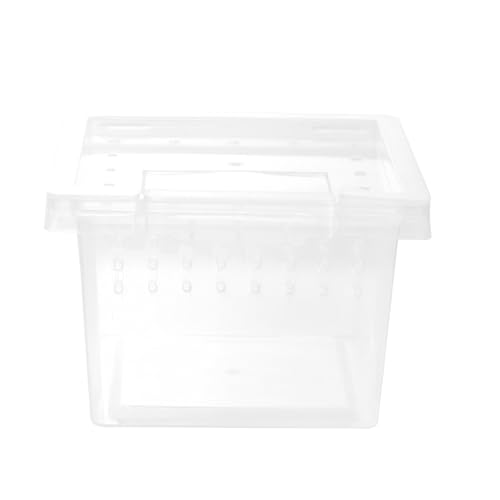 Beaupretty Kasten Aufzuchtbox Für Insekten Springterrarium Hülle Für Reptilien Terrarien Tarantelgehege Terrarium Tarantula-Tank Eidechsen-Terrarium Käfig Plastik Shell-Tank Spinne von Beaupretty