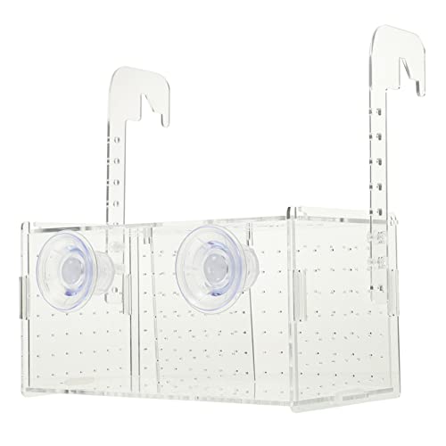 Beaupretty Kasten Isolationsbox Für Aquarien Betta Aquarium Mit Trennwand Eingewöhnungsbrüterei Inkubator Züchterbox Für Garnelen Zuchtbox Für Fische Garnelen Zuchtbox Teiler Acryl von Beaupretty