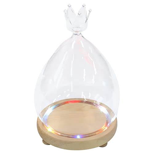 Beaupretty Künstliche Blumen Konservierte Blumenglas Kuppel Proof Glaskronenkuppel mit Holz Basis Cupcake Dome Deckung Mini- Platte Glas Terrarium Beh?lter Vase 10 cm von Beaupretty