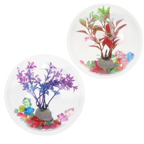 Beaupretty Aquarium Betta Wandhalterung Fischglas 15cm Durchmesser Acryl für Platzsparende Dekoration von Beaupretty