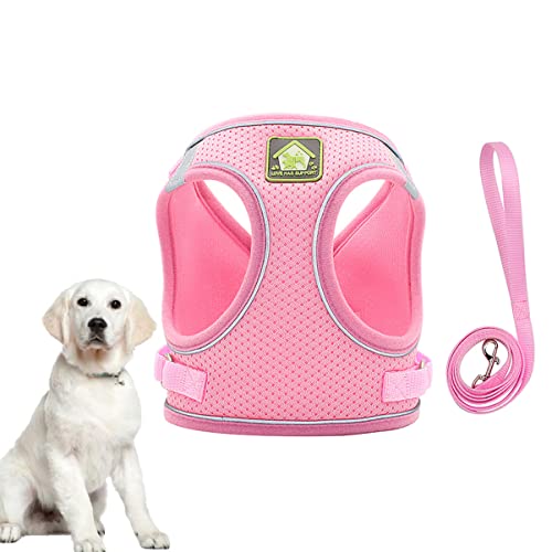 Beaupretty Und Leine Set Hund Weste Pet Reflektierende Leine Atmungsaktive Brustgurt Pet Set Größe von Beaupretty