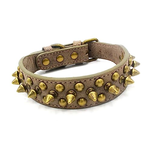 Beavorty Hundehalsband Donut Halsband Nieten Hundehalsband Grau Größe XL Heimtierbedarf von Beavorty