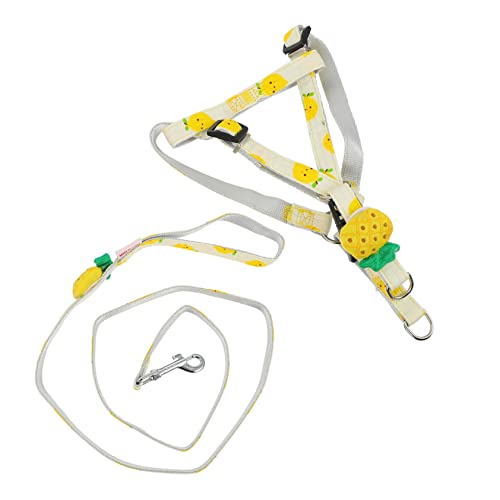 Beavorty Leinen Hundeleine aus Nylon Seil zum schleppen von Hunden Welpe Spielzeug Leine aus Polyester Abschleppseil für Hunde Anti brechen frei Outdoor-Hund Probe Hündchen von Beavorty