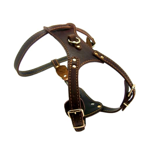 Beavorty verscho außen Chest Strap Choker Halskette hundekragen modisches Hundehalsband Hundebrillen-Brustgurt modisches Haustierhalsband Haustierzubehör Mode Arbeitshund von Beavorty