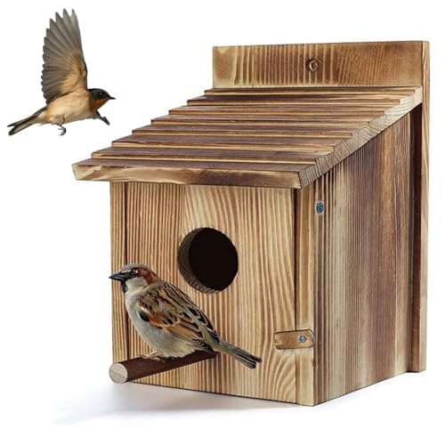Bebochoi Nistkasten, Vogelhaus zum Aufhängen Vogelfutterhaus, Vogelhaus aus Holz zum Aufhängen für Draußen Wetterfest für Jede Gartengröße im Freien Baum oder Balkon, Flugloch Ø 4 cm, 15 x 15 x 22 cm Bebochoi Nistkasten, Vogelhaus zum Aufhängen Vogelfutterhaus, Vogelhaus aus Holz zum Aufhängen für Draußen Wetterfest für Jede Gartengröße im Freien Baum oder Balkon, Flugloch Ø 4 cm, 15 x 15 x 22 cm von Bebochoi