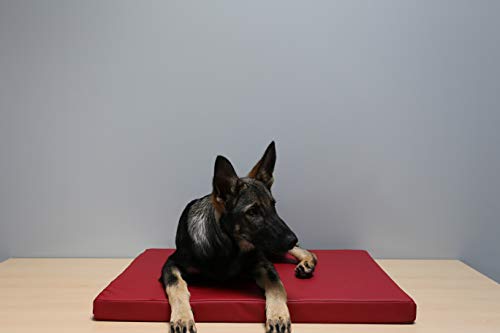 Beckers Beste Tiernahrung - Hundebett für kleine und Grosse Hunde aus Kunstleder in rot 120cm x 80cm x 5cm - Hundekissen rutschfest und waschbar - Für Auto, Hundebox oder als Hundematte für Zuhause von Beckers Beste Tiernahrung