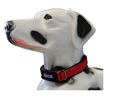 Beckers Beste Tiernahrung - Hundehalsband Nylon für große und kleine Hunde - Halsband in 40-60 cm Grün reflektierend ungepolstert - Klickverschluss von Beckers Beste Tiernahrung