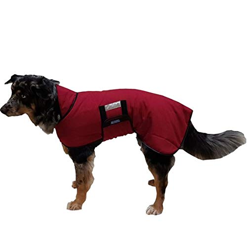 Beckers Beste Tiernahrung - Wasserdichter Hundemantel Bordeaux mit individueller Größeneinstellung - Regenmantel - Hundejacke für kleine, mittelgroße und große Hunde von Beckers Beste Tiernahrung