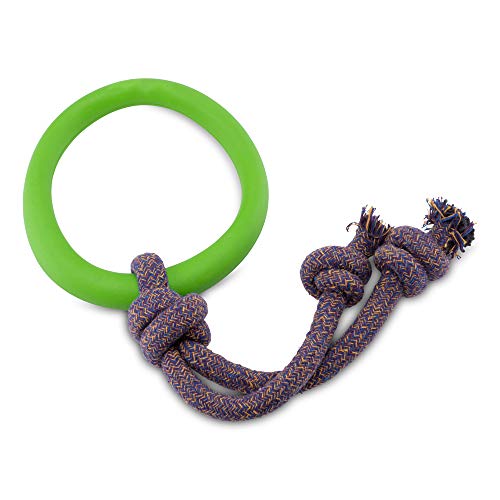 Beco Pet RHRS-003 Hoop on a Rope Ring mit Seil, S, grün von Beco