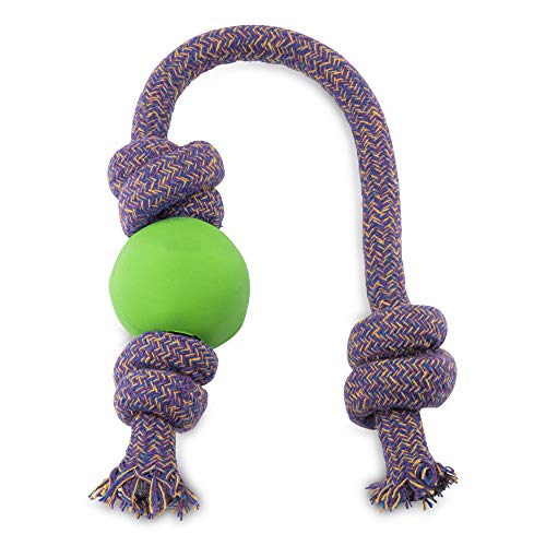 BecoThings Spielball mit Seil, 50 cm, grün von Beco