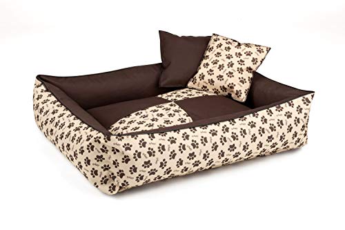 BedDog 2in1 Hundebett MAX Quattro, großes Hundekörbchen aus Cordura, waschbares Hundebett mit Rand, Hundesofa für drinnen, draußen, L, NAMIBSAND-Dog, beige-braun mit Pfoten von BedDog