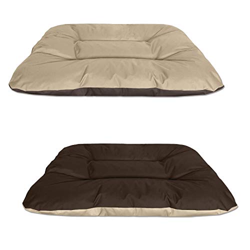 BedDog® 2in1 Hundebett REX, XXL, beige-braun, Wende-Hunde-Kissen oval-rund, großes Hundekörbchen, waschbares Hundebett, Hundesofa für drinnen, draußen von BedDog