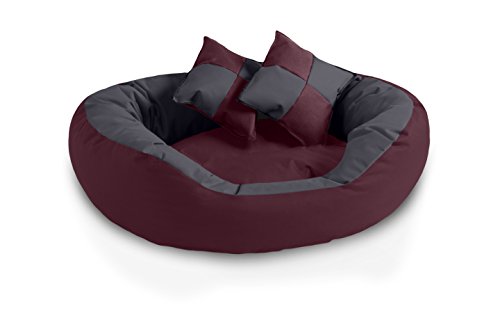 BedDog® 4in1 Hundebett SABA, Wende-Hunde-Kissen oval-rund, großes Hundekörbchen, abwischbares Hundebett mit Rand, für drinnen, draußen, L, Cherry-Rock, Bordeaux-grau von BedDog