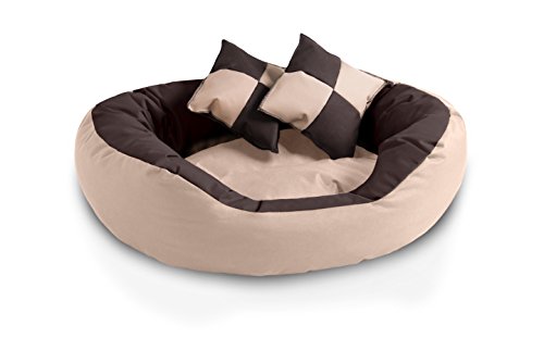 BedDog® 4in1 Hundebett SABA, Wende-Hunde-Kissen oval-rund, großes Hundekörbchen, abwischbares Hundebett mit Rand, für drinnen, draußen, L, Melange, beige-braun von BedDog