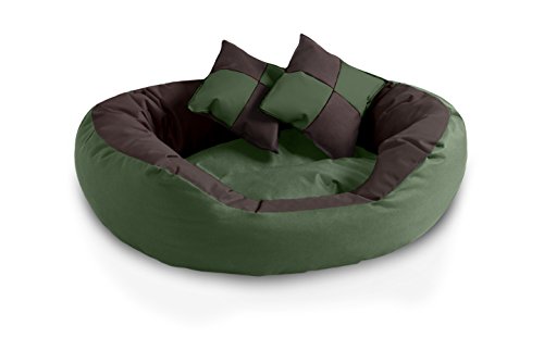 BedDog® 4in1 Hundebett SABA, Wende-Hunde-Kissen oval-rund, großes Hundekörbchen, abwischbares Hundebett mit Rand, für drinnen, draußen, L, Mystic, grün-braun von BedDog