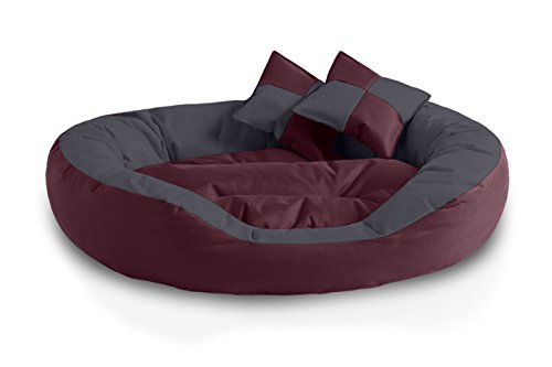 BedDog® 4in1 Hundebett SABA, Wende-Hunde-Kissen oval-rund, großes Hundekörbchen, abwischbares Hundebett mit Rand, für drinnen, draußen, XL, Cherry-Rock, Bordeaux-grau von BedDog