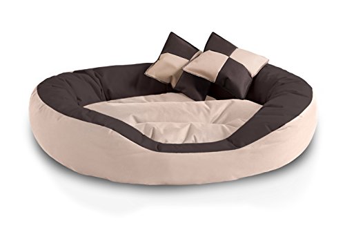 BedDog® 4in1 Hundebett SABA, Wende-Hunde-Kissen oval-rund, großes Hundekörbchen, abwischbares Hundebett mit Rand, für drinnen, draußen, XL, Melange, beige-braun von BedDog