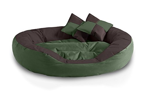 BedDog® 4in1 Hundebett SABA, Wende-Hunde-Kissen oval-rund, großes Hundekörbchen, abwischbares Hundebett mit Rand, für drinnen, draußen, XL, Mystic, grün-braun von BedDog